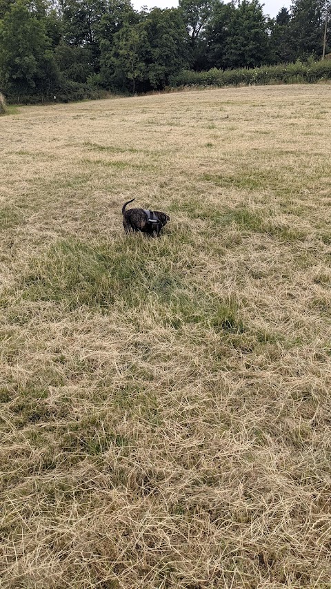 Horsepool Farm Dog Park