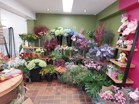 Meadow Row Florist