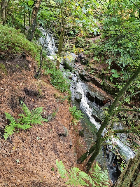 HATCH BROOK WATERFALL