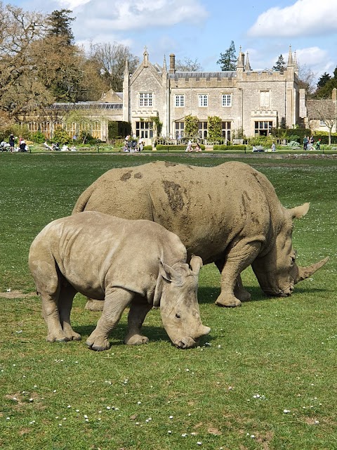 Cotswold Wildlife Park & Gardens