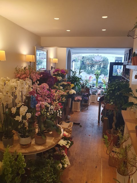 Petal vibes flower shop