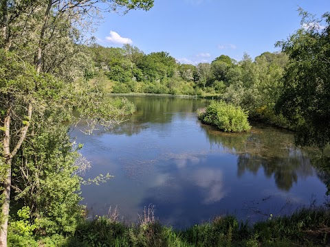 Ryton Pools Country Park