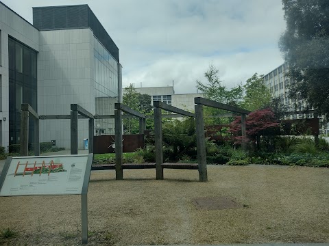 UCD School of Veterinary Medicine