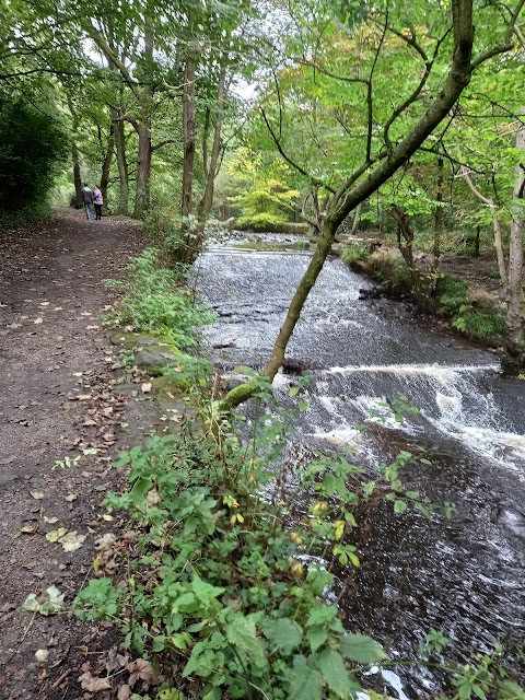 Rivelin Valley Park