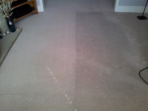 S T B Carpet Cleaning