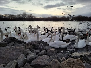 Watermead Country Park