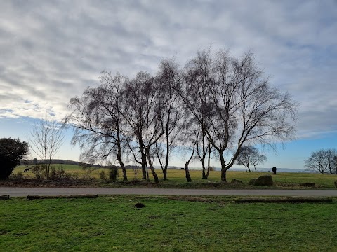 Heath Common