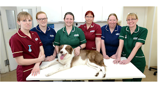 Raoul Dowding Vets, Gainsborough