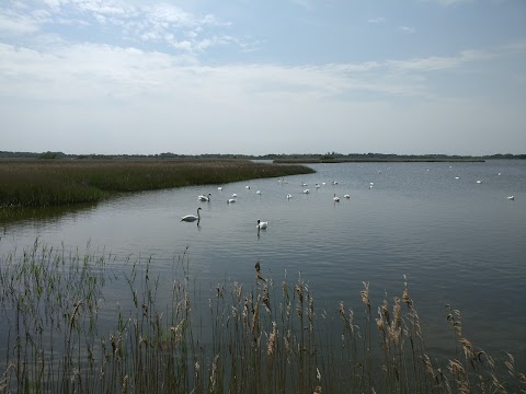 Norfolk Wildlife Trust