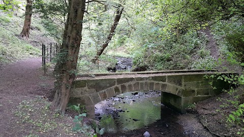 RSPB Baron’s Haugh