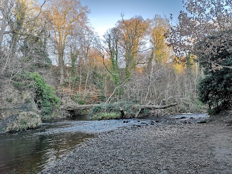 Colinton Dell