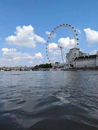 Thames River Sightseeing