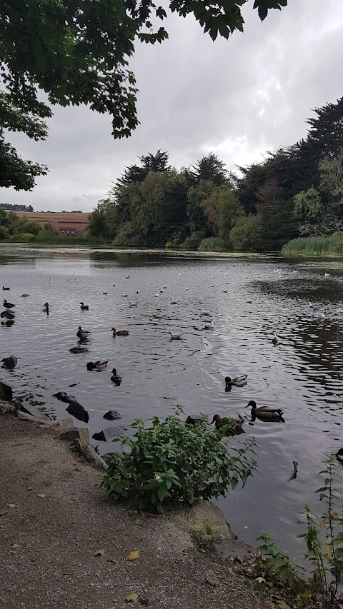 Kiltonga Nature Reserve