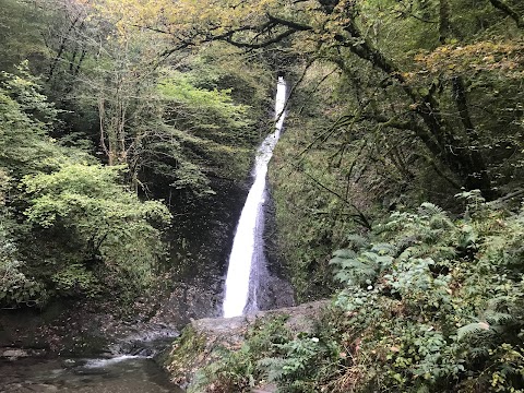 Dartmoor National Park