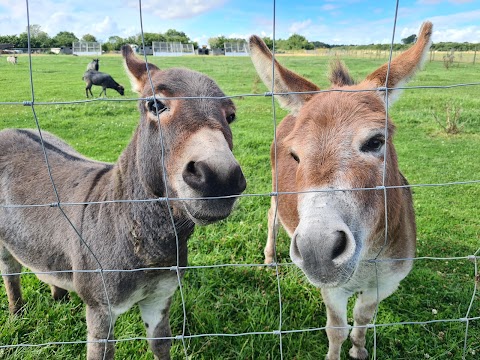 Melsop Farm Park