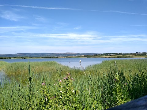 Kenfig Pool - South Hide