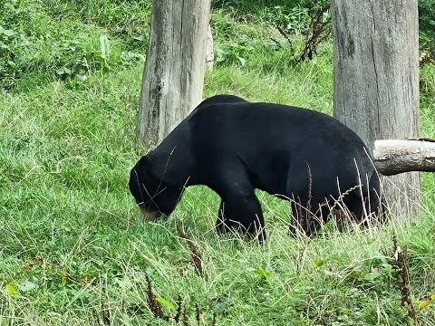 The Islands at Chester Zoo