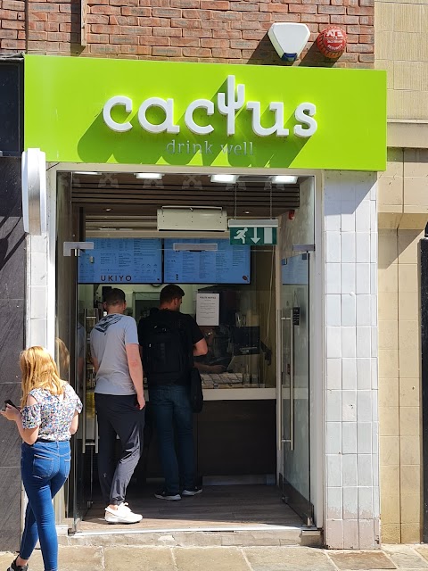 Cactus Drink Well Chester