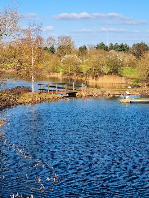 Willen Lake Maze