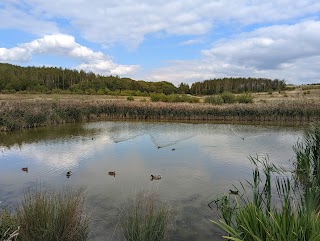 Gedling Country Park