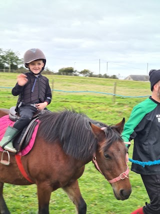 Brynteg Farm and Wellbeing Sanctuary