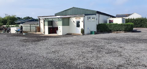 Marshland Alpacas Campsite