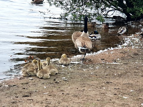 Chasewater Car Park