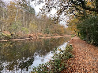 Frimley Lodge Park