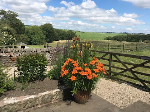 Lane Head Barns