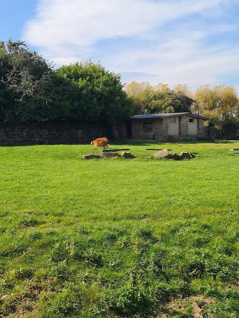 Chester Zoo Car Park 1