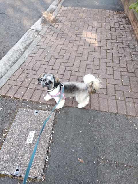 Marlborough Road Veterinary Centre