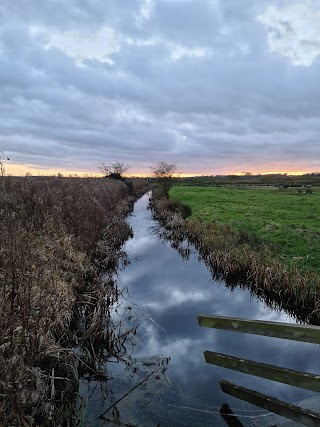 Mid-Yare National Nature Reserve