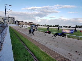 Shelbourne Park Greyhound Stadium