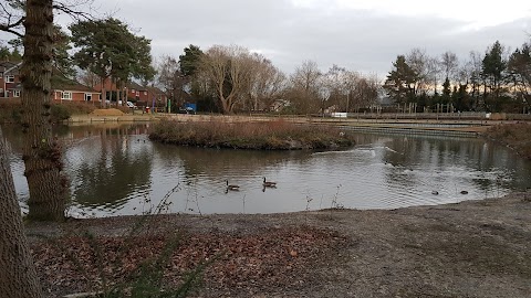 Lightwater Country Park