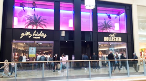 Hollister Co.