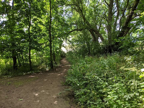 Caraway Drive Open Space