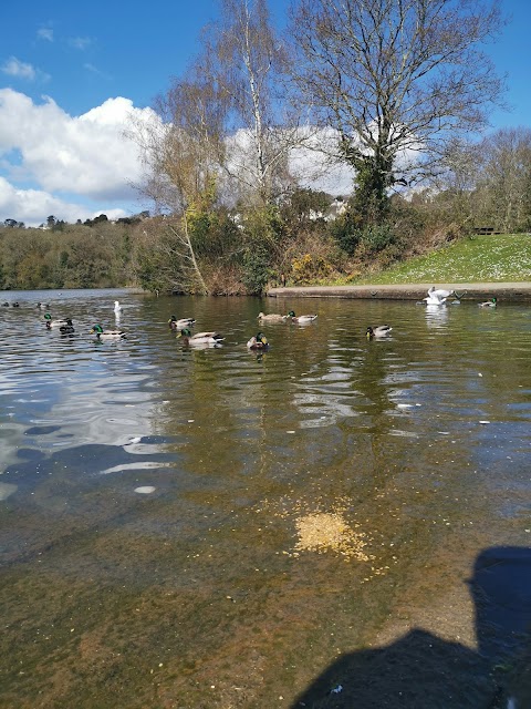 Decoy Country Park