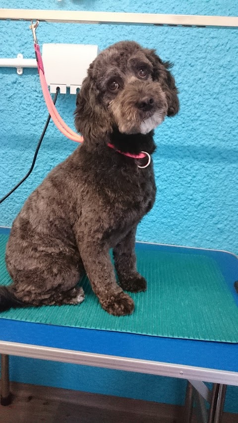 Woof Love Dog Grooming