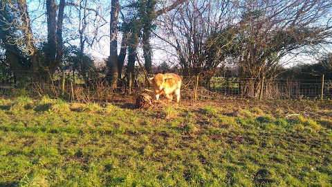 Hoe Road Memorial Meadow