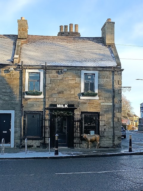 Milk Hairdressing