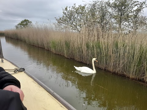 Ross' Wildlife Boat Trips