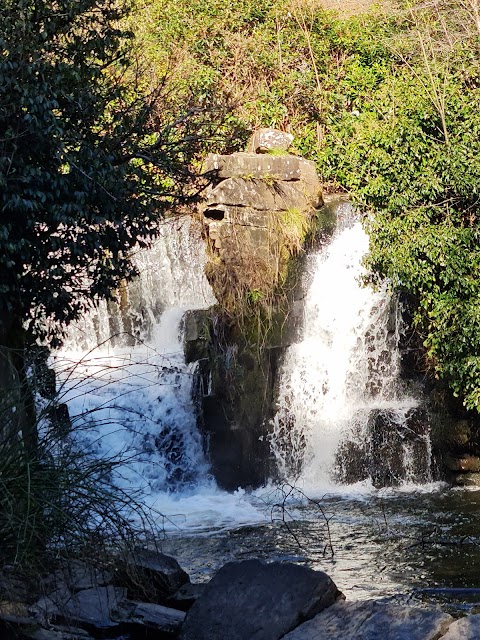 Penllergaer Valley Woods