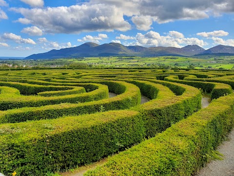 Castlewellan Mountain Bike Trails