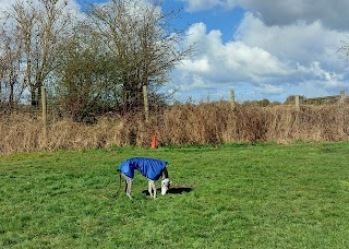 Molescroft Carr Secure Dog Walking Field