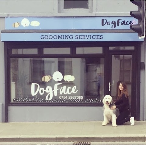 DogFace Grooming