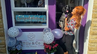 Tilly & Co Dog Grooming