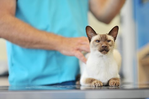 Shipley and Idle Veterinary Centres