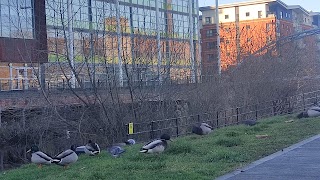 Nursery Street Pocket Park