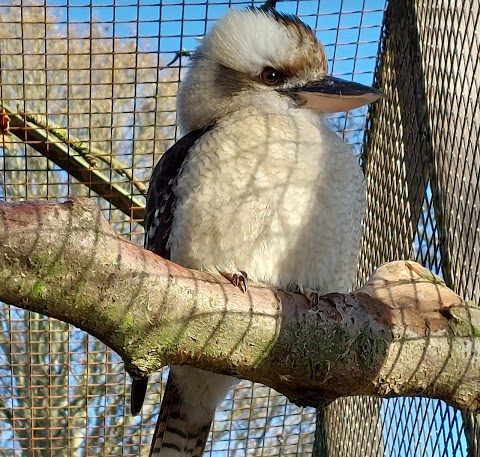 Harewood Bird Garden