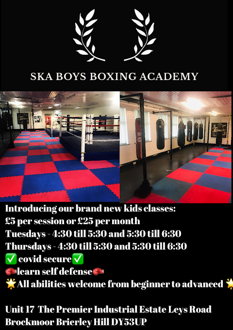 Ska boys boxing academy